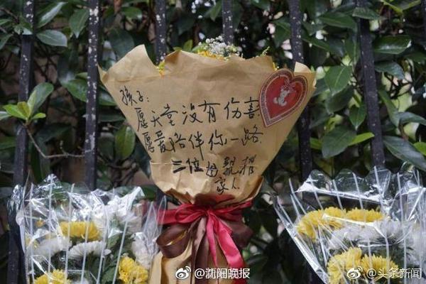 足球软件app下载正式版